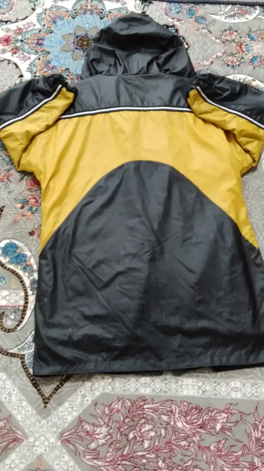 بارانی|لباس|پارسآباد, |دیوار