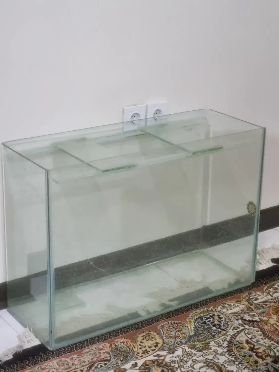 اکواریوم ۸۰ سانت|ماهی|اهواز, کوروش|دیوار