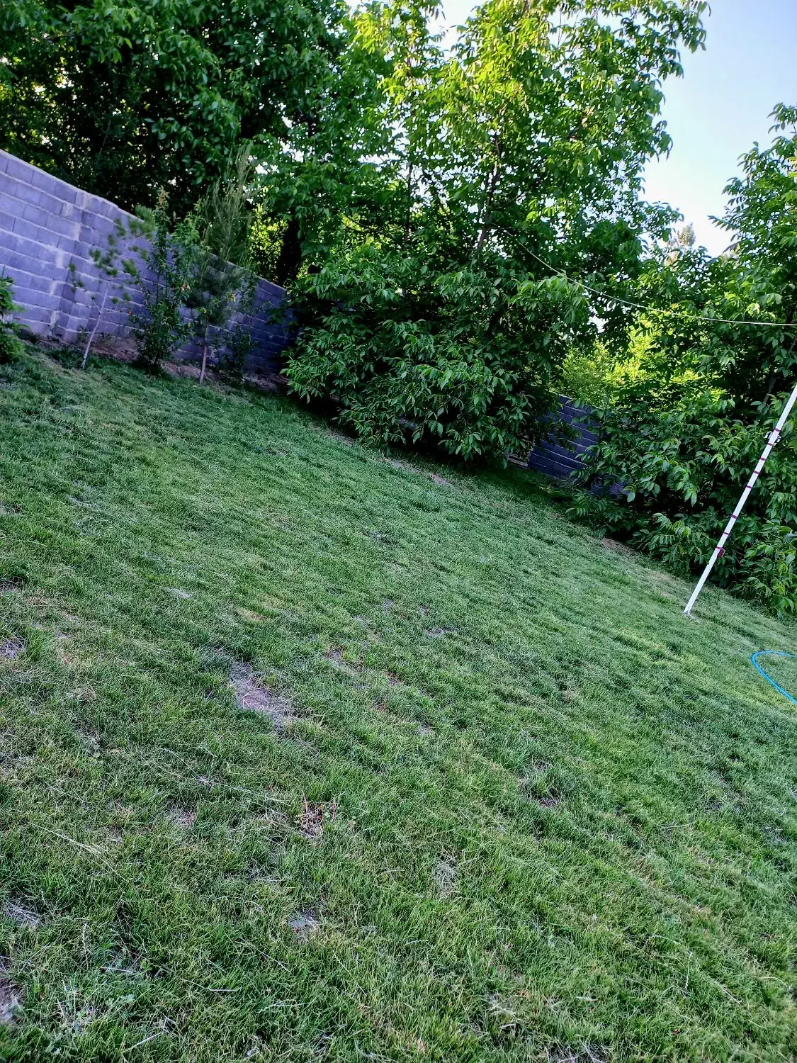 اجاره ویلا باغ با منظره خوب|اجارهٔ کوتاهمدت ویلا و باغ|نوشین شهر, |دیوار