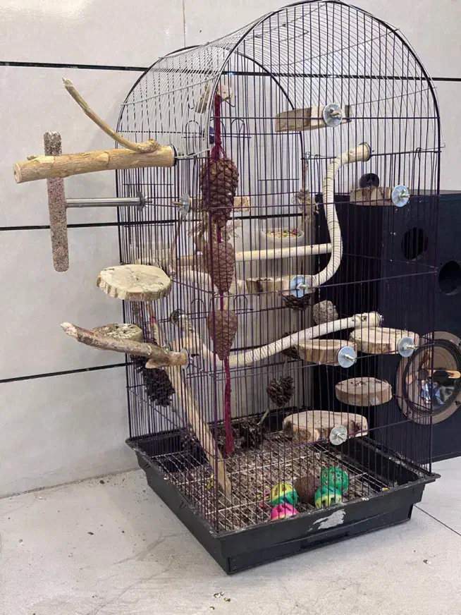قفس بزرگ پرنده|لوازم جانبی حیوانات|خوی, |دیوار