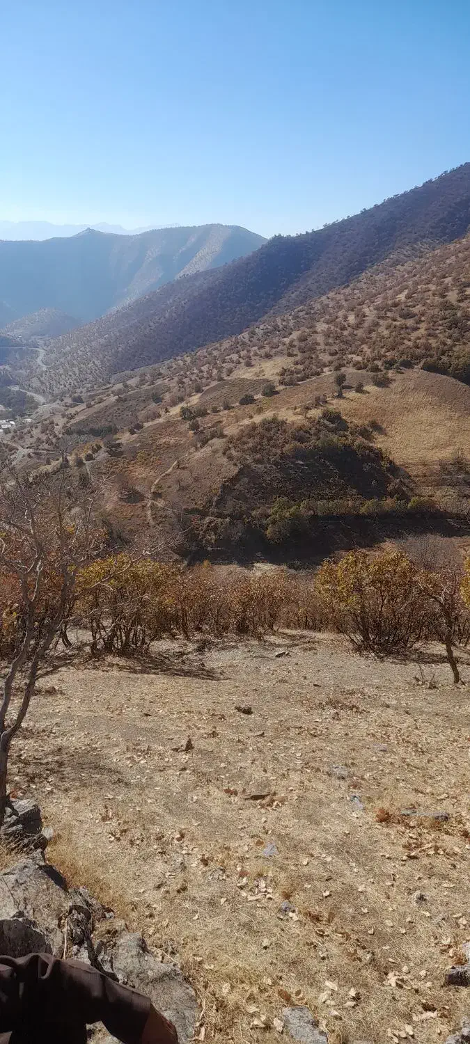 فروش زمین کشاورزی|فروش دفتر صنعتی، کشاورزی، تجاری|مریوان, |دیوار