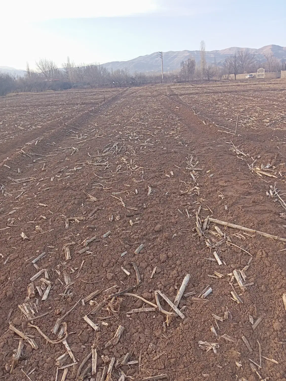 فروش و اجاره زمین کشاورزی|اجارهٔ دفتر صنعتی، کشاورزی، تجاری|فیرورق, |دیوار