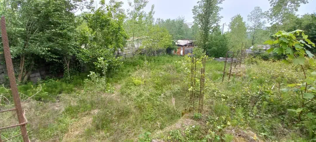 زمین با جواز ساخت|فروش زمین و ملک کلنگی|نشتارود, |دیوار