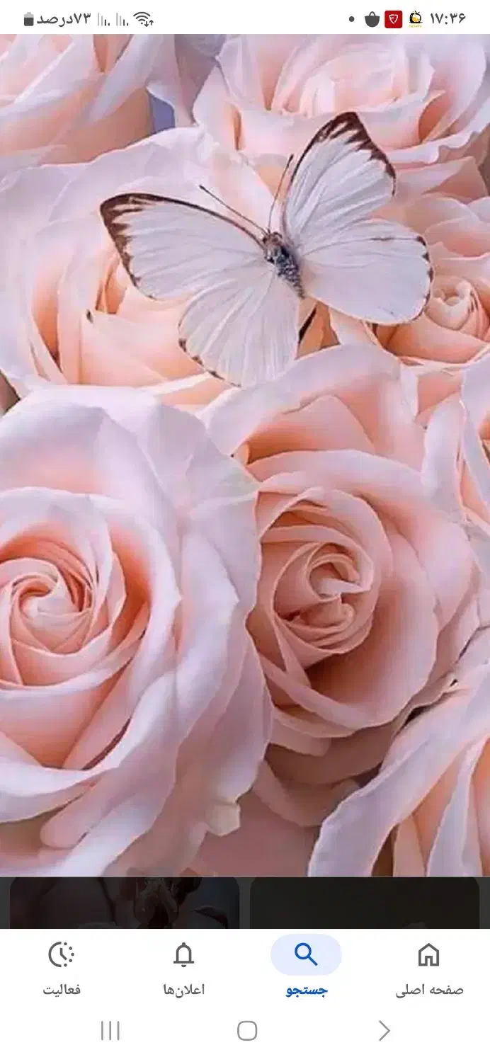 استخدام نیرو در همه سطوح|استخدام خدمات فروشگاه و رستوران|رامسر, |دیوار