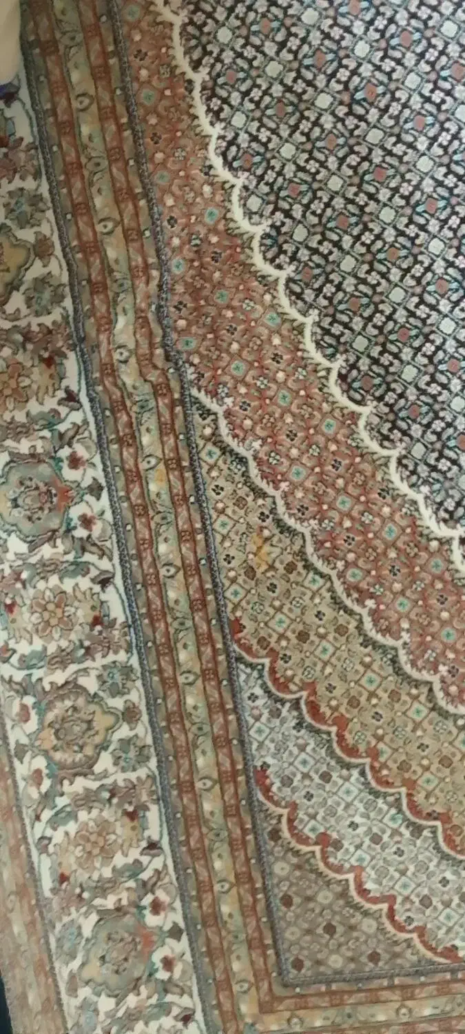 فرش سالم ۲/۳|فرش|جلفا, |دیوار