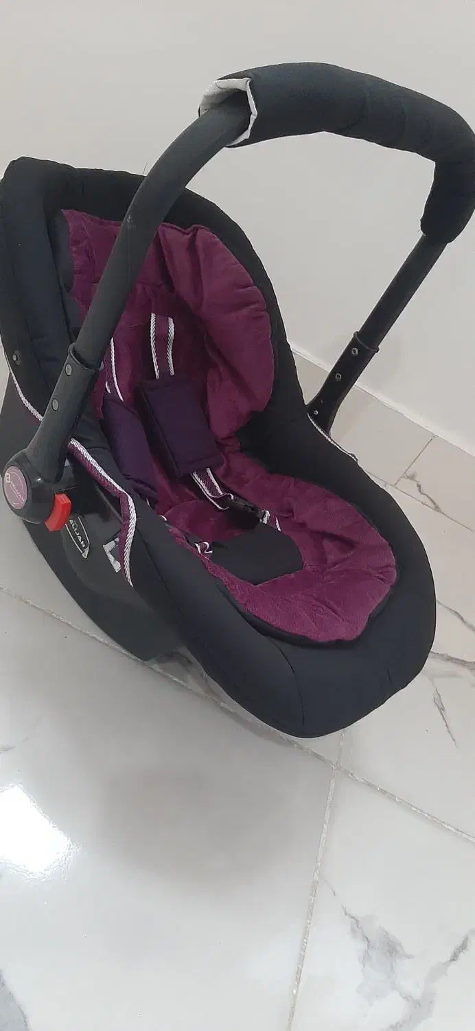 کریر و روروک|کالسکه و لوازم جانبی|مراغه, |دیوار