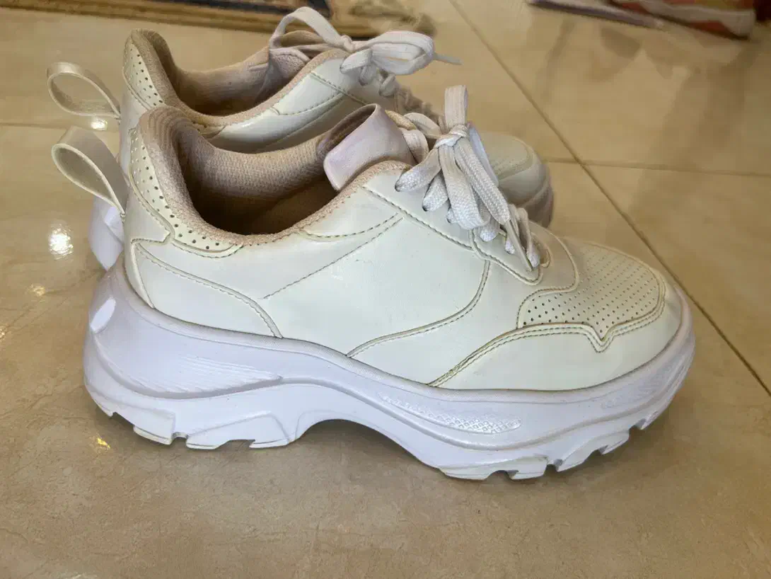 کفش LC WAIKIKI|کیف، کفش، کمربند|گنبد کاووس, |دیوار