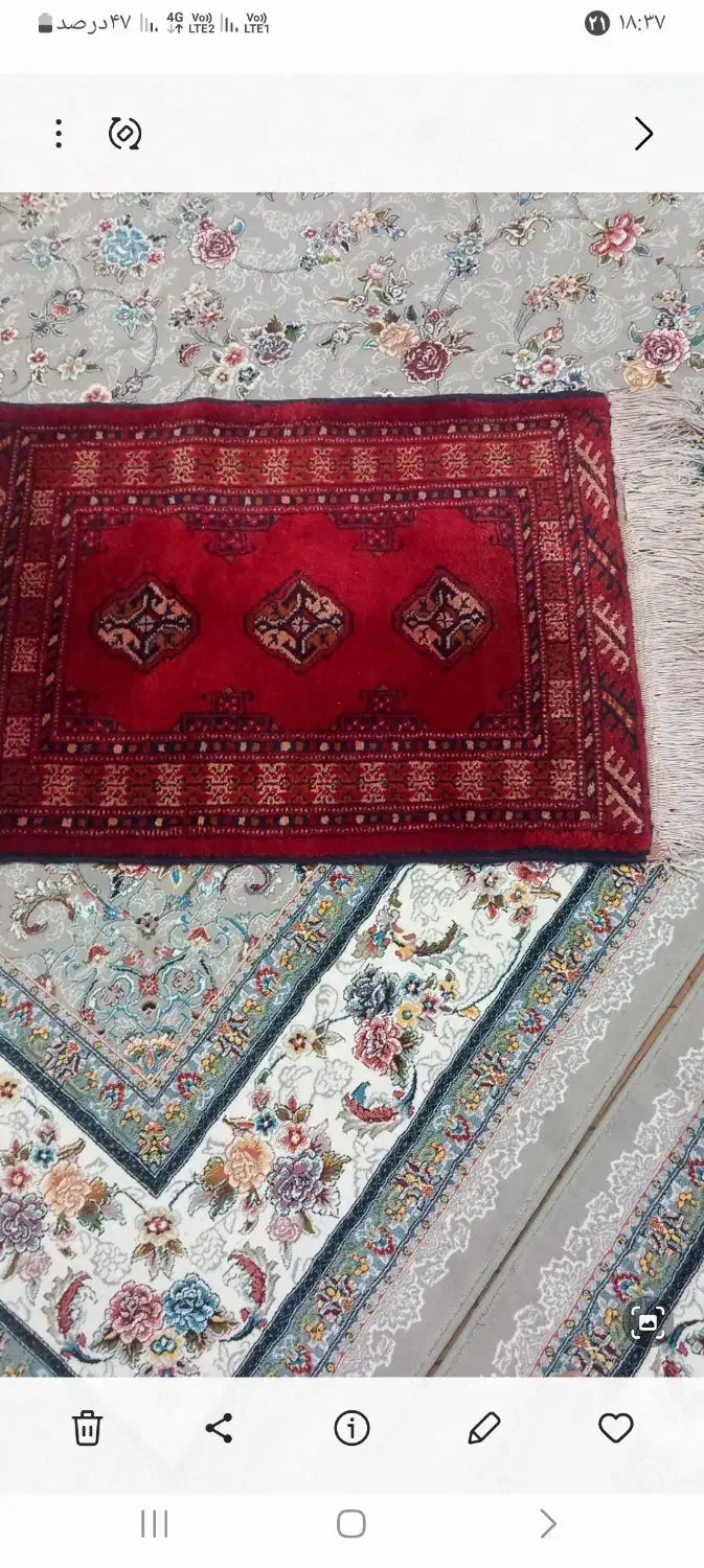 فرش تبریز کوچلو|فرش|رباط‌کریم, رباط‌کریم|دیوار