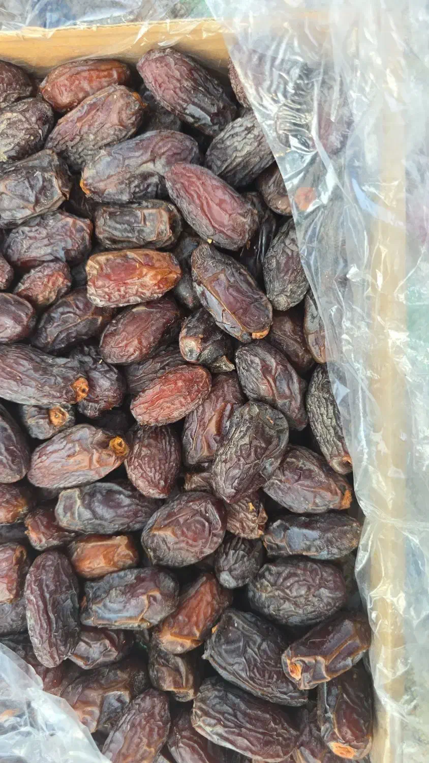 فروش خرما پلاستیکی ومرداسنگ ومجول|خوردنی و آشامیدنی|شیراز, آزادگان|دیوار
