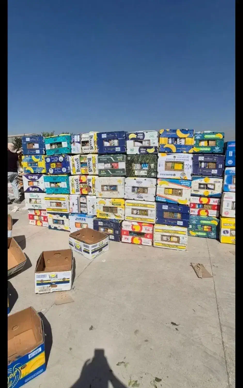 کارتن موزی|حراج|مرودشت, فاز دوم شهرک فرهنگیان|دیوار