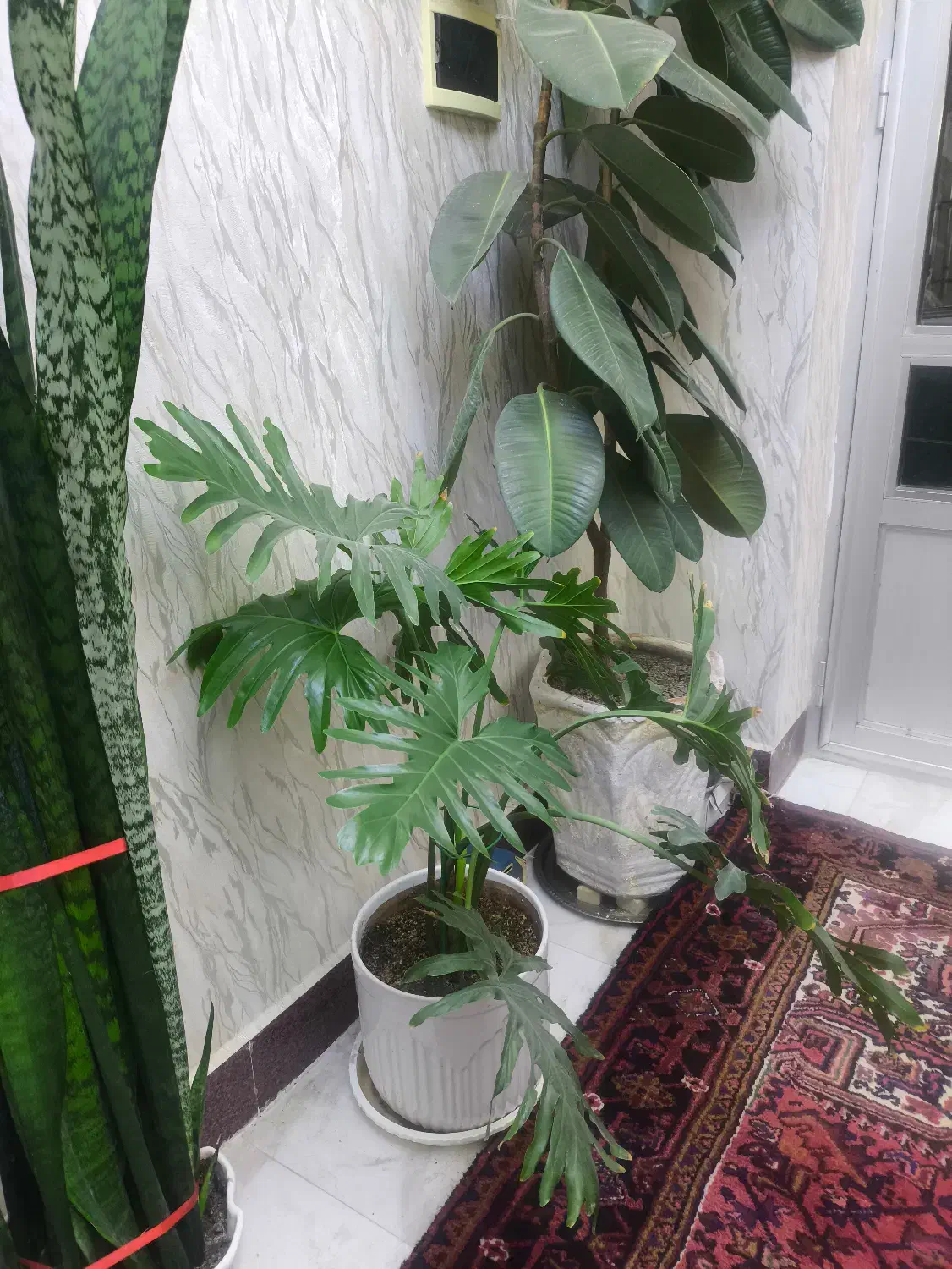 اجاره ی خانه ی دربستی کوی ستوباد دربند بهاران|اجارهٔ خانه و ویلا|آذرشهر, |دیوار