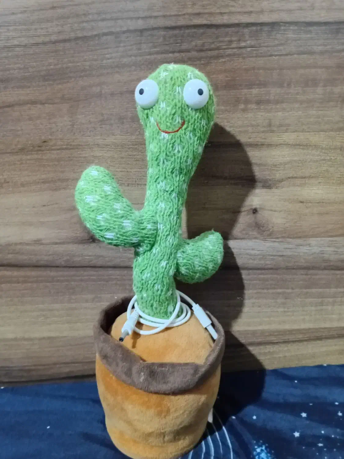 کاکتوس سخنگو|اسباببازی بچه|تهران, شهرک دانشگاه|دیوار