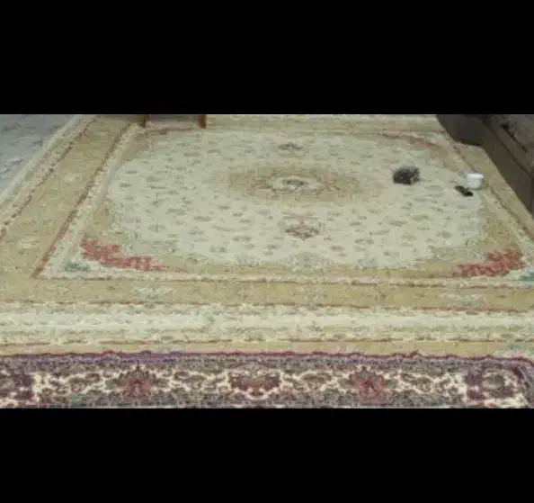 فرش|فرش|زابل, |دیوار