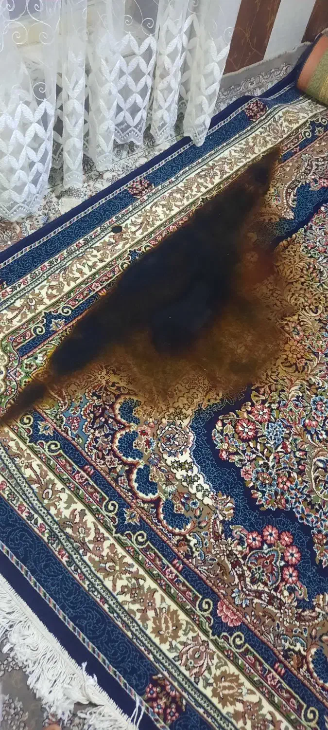 فرش شش متری وکناره|فرش|کرمانشاه, |دیوار