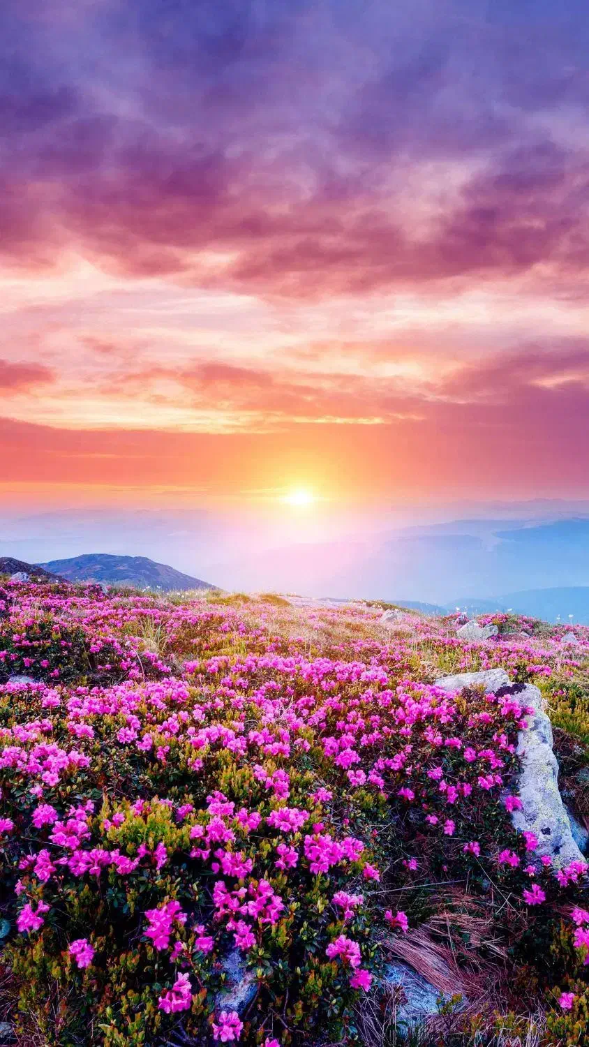 مشاوره و برنامه ریزی تضمینی کنکور|خدمات آموزشی|یاسوج, |دیوار