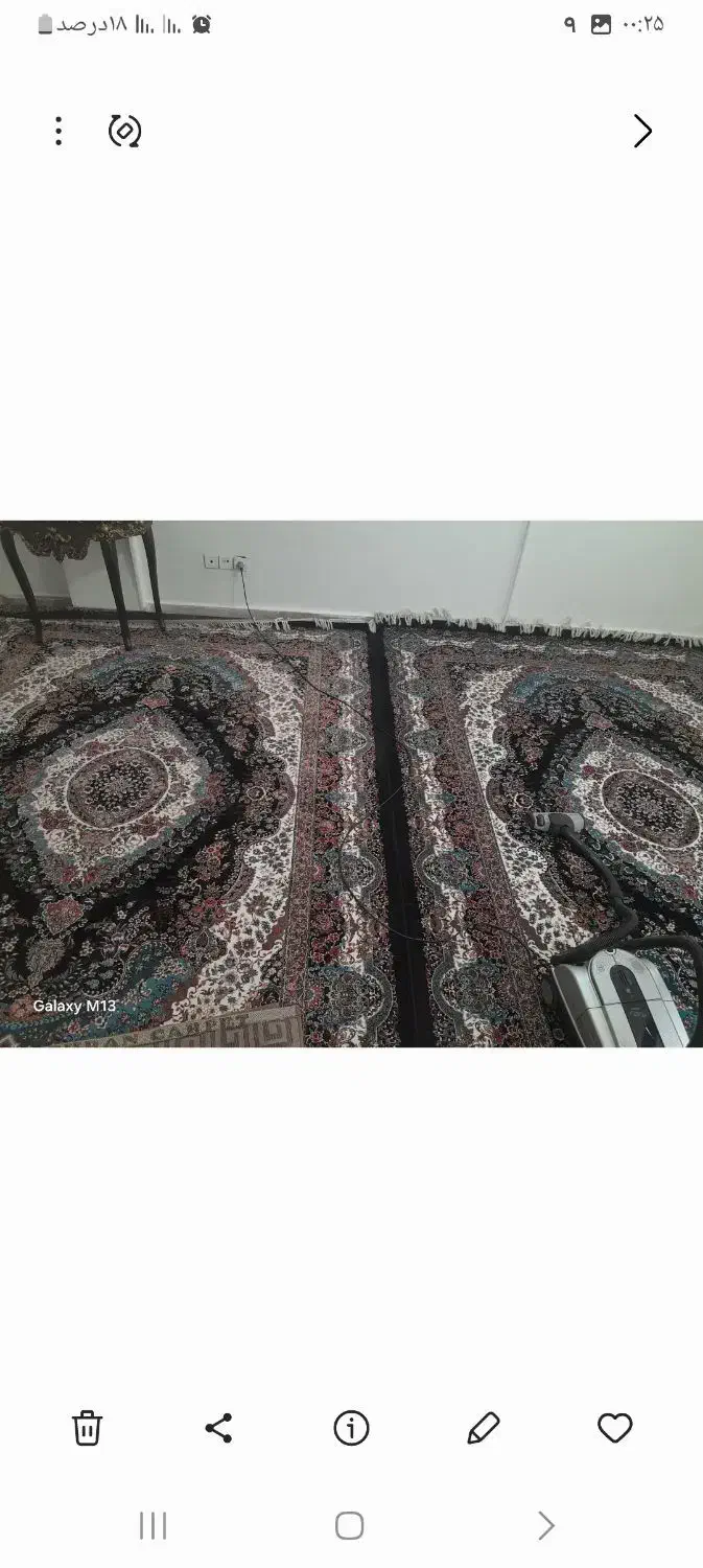 فرش ۷۰۰شانه|فرش|تهران, بوستان ولایت|دیوار