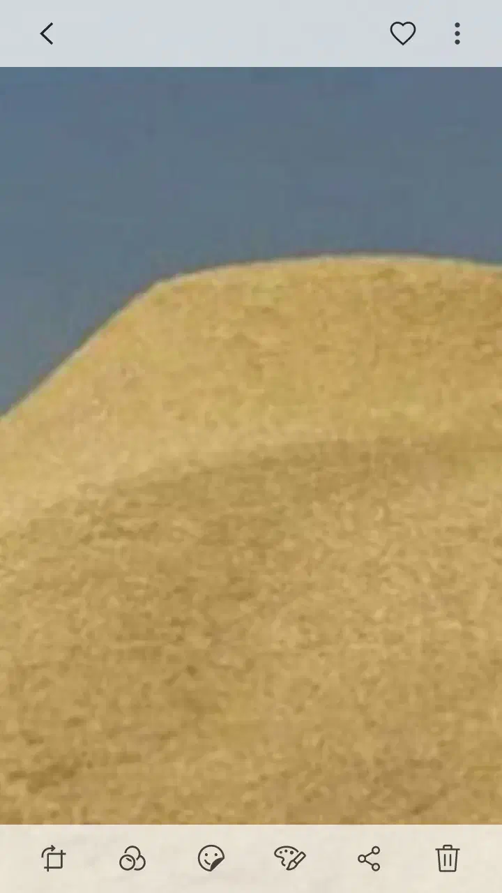 فروش کاه  خیلی ریز نرم|عمدهفروشی|دیواندره, |دیوار