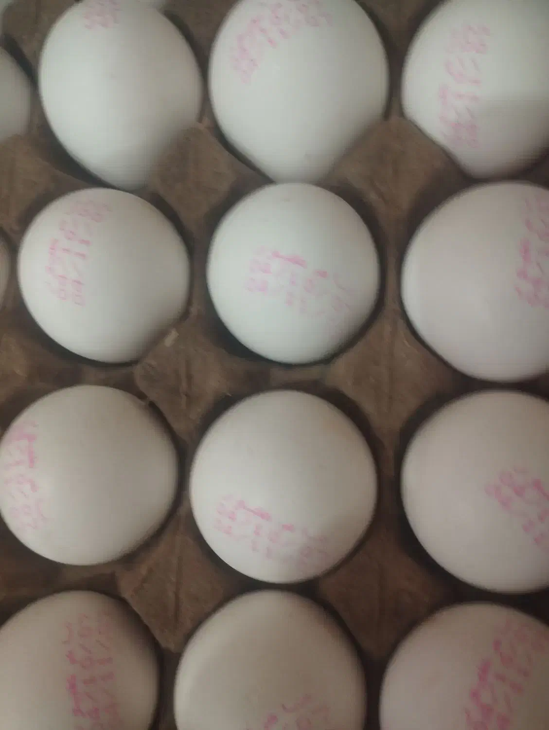 تخم مرغ|خوردنی و آشامیدنی|اهواز, زیتون کارگری|دیوار