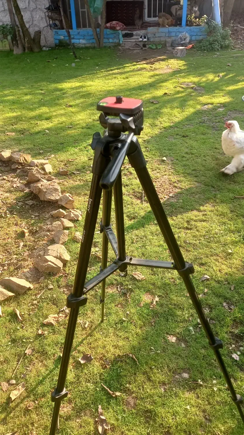 پایه دوربین به قیمت بسیار مناسب|دوربین عکاسی و فیلم‌برداری|رشت, رشتیان|دیوار