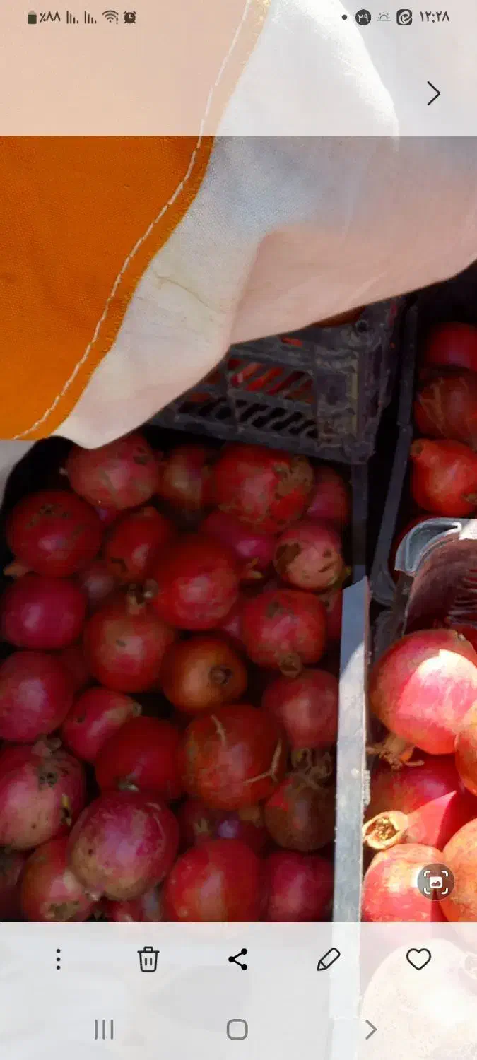 انار شیرین درجه یک|خوردنی و آشامیدنی|شاهرود (اردبیل), |دیوار