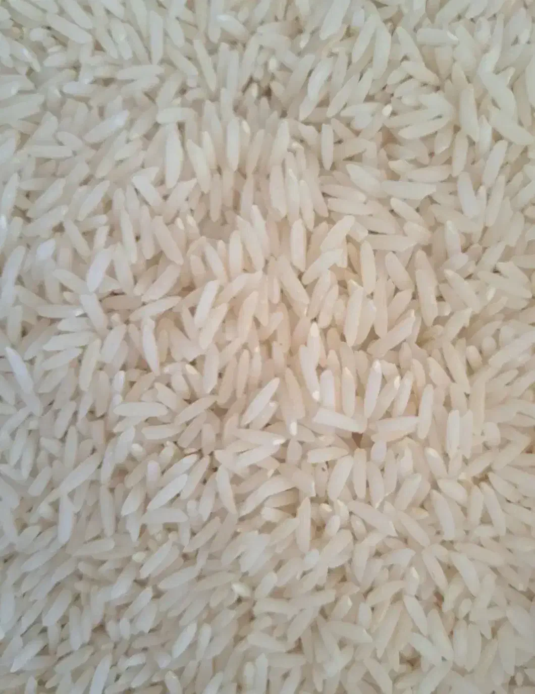 برنج هاشمی اصل|خوردنی و آشامیدنی|پارسآباد, |دیوار