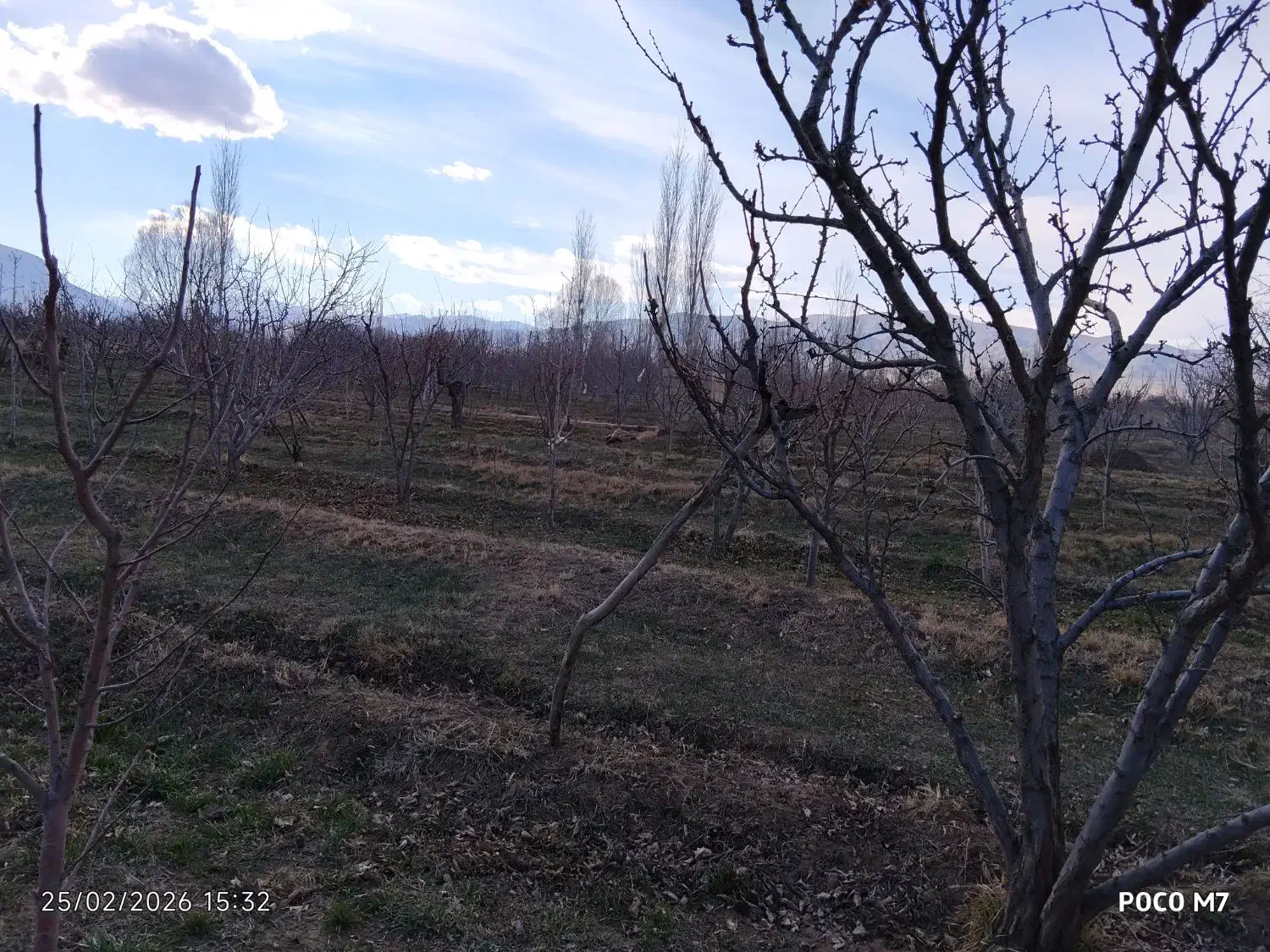 باغچه|فروش زمین و ملک کلنگی|انزل, |دیوار