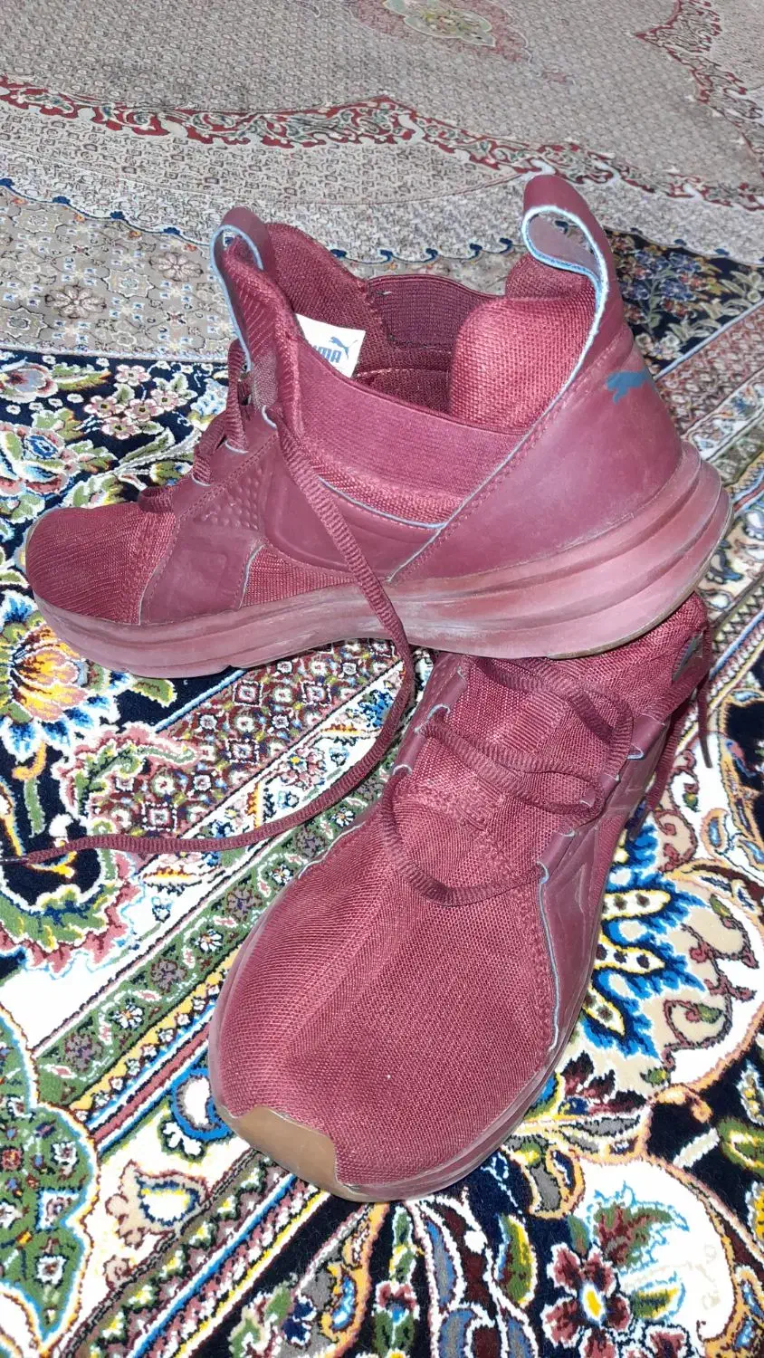 کتونی اورجینال puma|کیف، کفش، کمربند|اردبیل, |دیوار