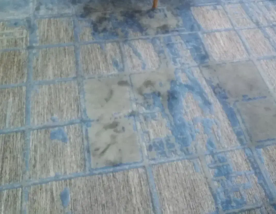 فرش|فرش|صدرا-فارس, فاز ۱|دیوار