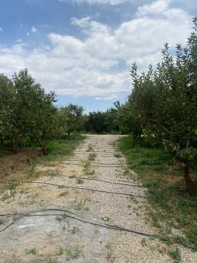 زمین باغ ۱۵۱ متر سندتکبرگ+آب،برق،گاز دماوند جابان|فروش زمین و ملک کلنگی|دماوند, دماوند|دیوار