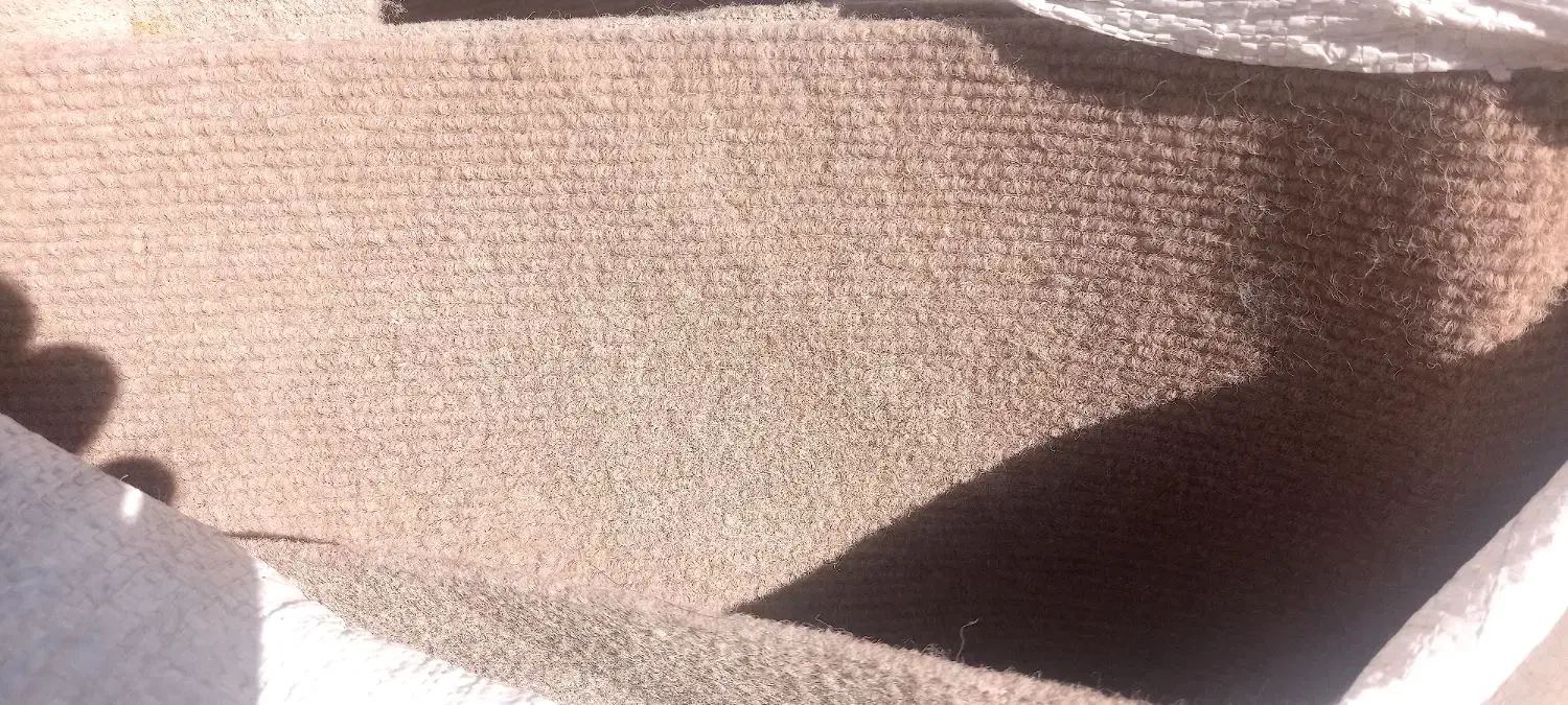 موکت فرش ۳متر عرض در ۷مترطول|موکت|زاهدان, |دیوار