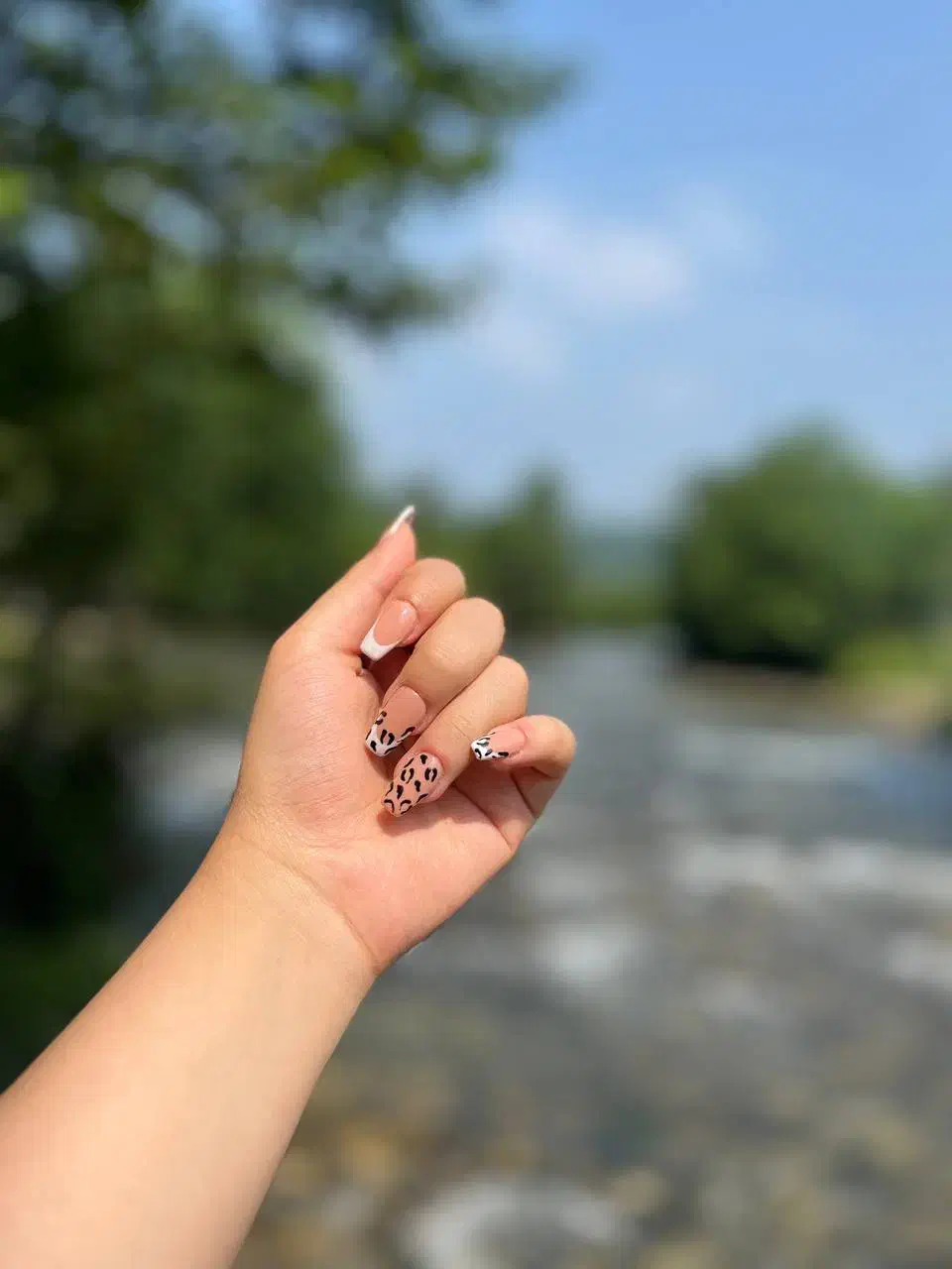 کاشت و ترمیم ناخن|خدمات آرایشگری و زیبایی|قزوین, |دیوار