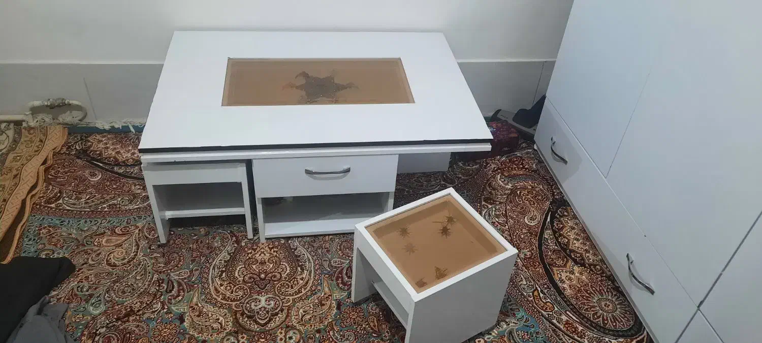 میز جلو مبلی و عسلی|مبلمان خانگی و میز عسلی|قم, کلهری|دیوار