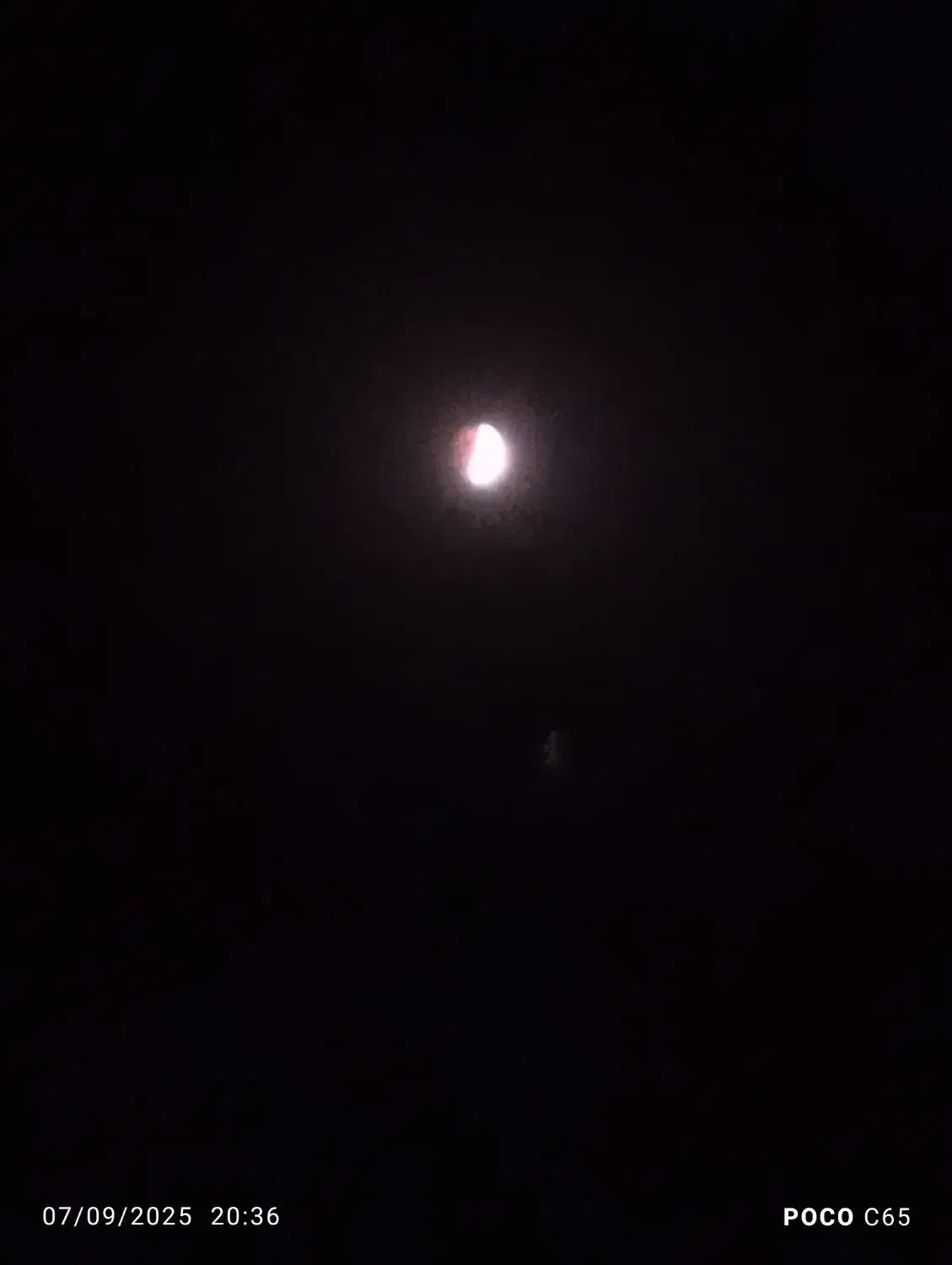 مدارک گمشده|اشیا|کرمانشاه, |دیوار