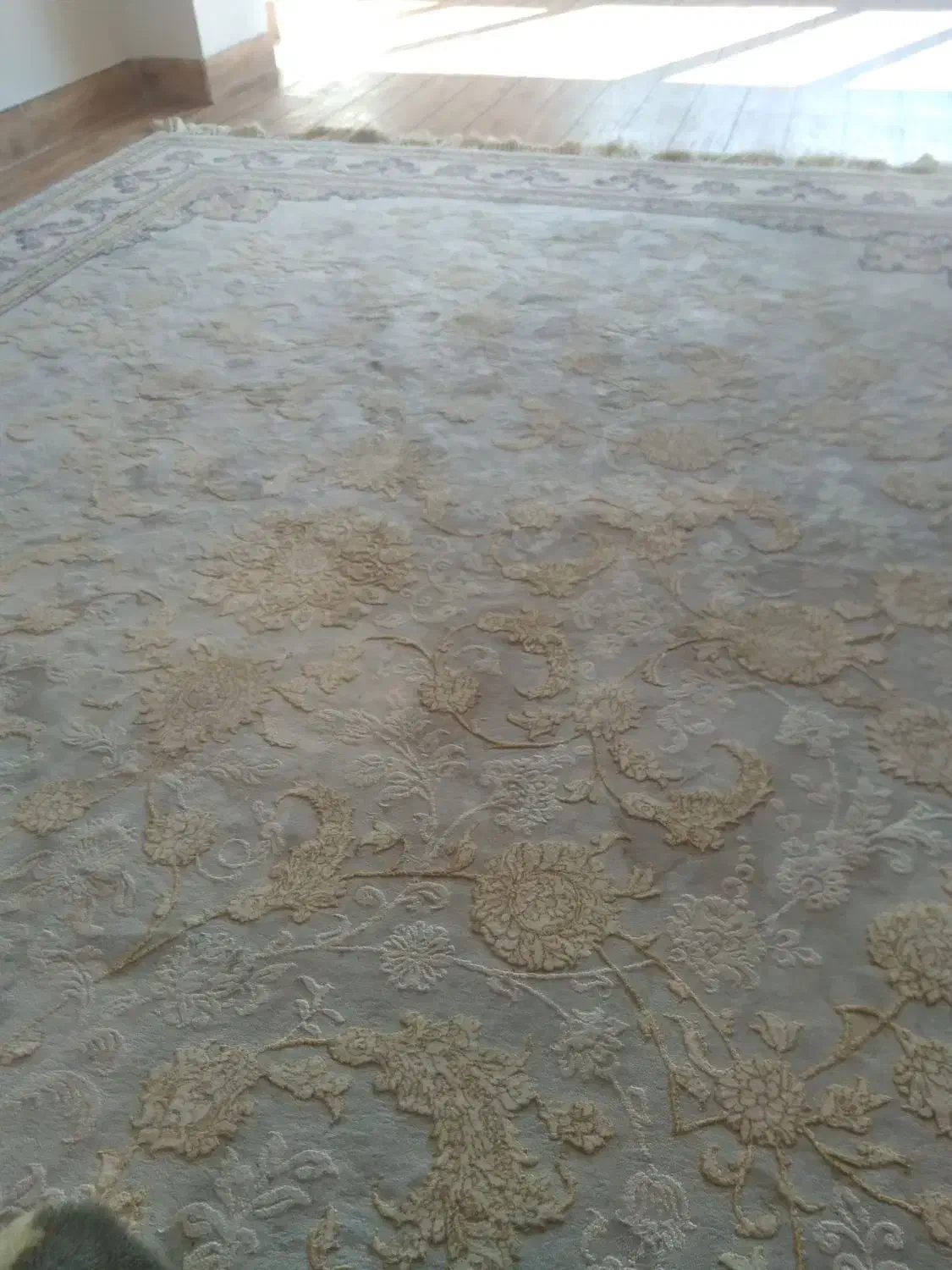 فرش۷۰۰شانه ۹متری درحدنوع میباشد|فرش|میانه, |دیوار