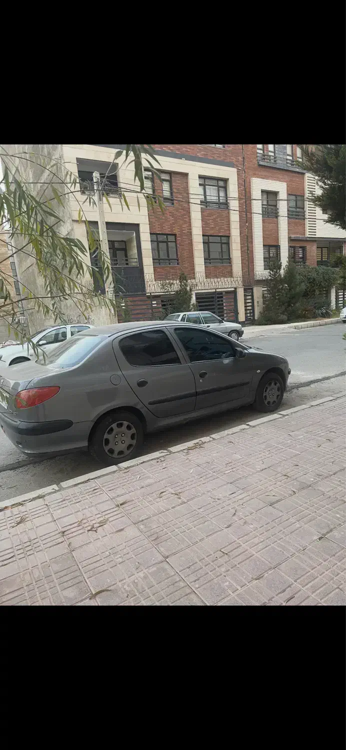 ۲۰۶ SD مدل ۹۳|خودرو سواری و وانت|کرج, ساماندهی|دیوار