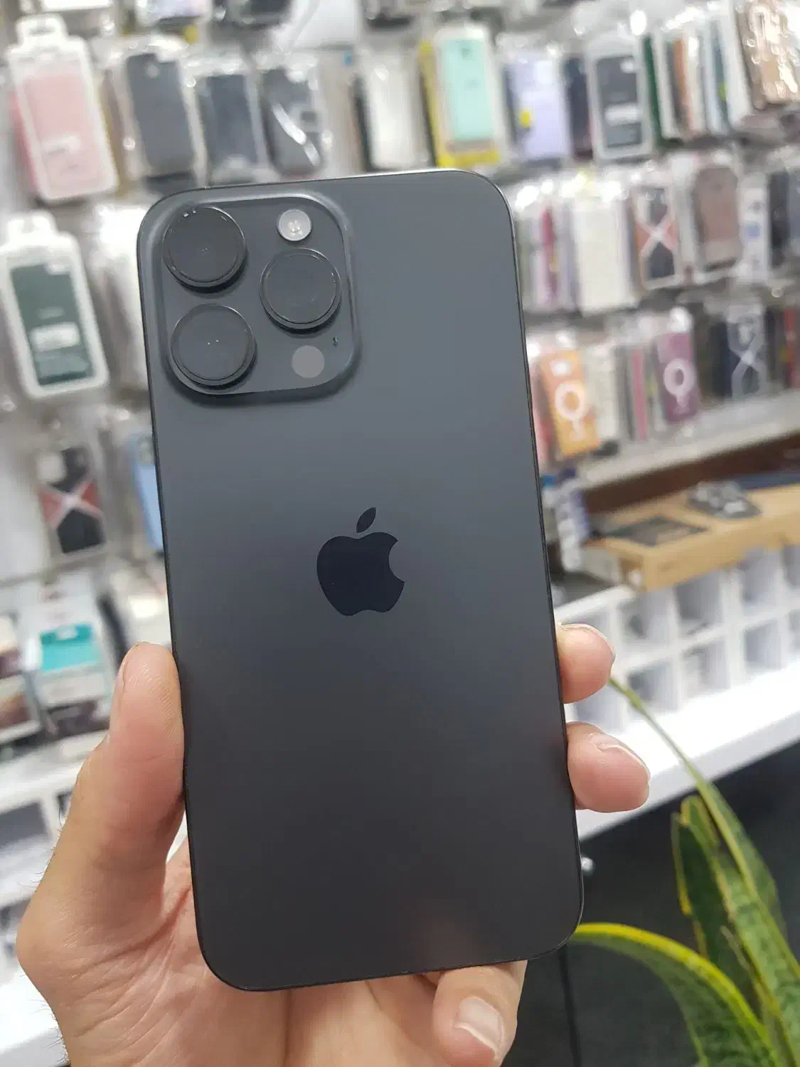 15 pro max|موبایل|اصفهان, روشن‌دشت|دیوار