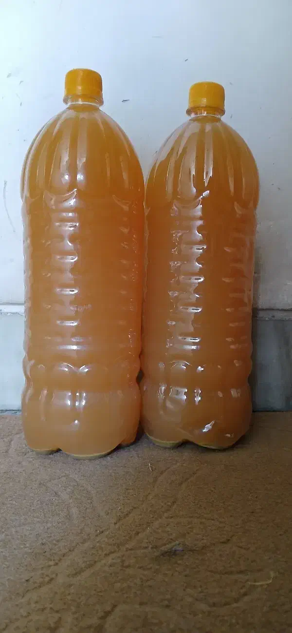 فروش آبغوره|خوردنی و آشامیدنی|شیراز, سرو|دیوار