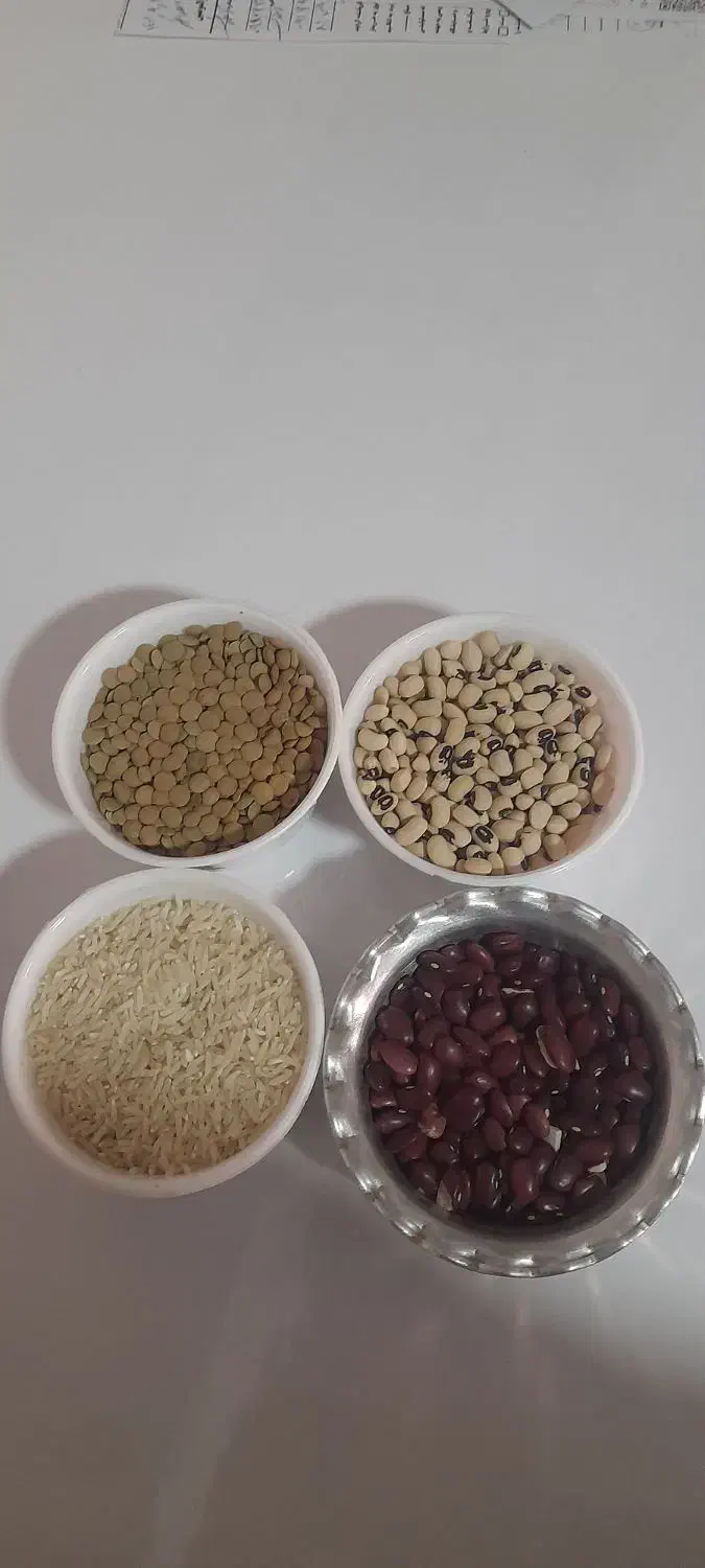 برنج محلی.لوبیاقرمز.عدس.چشم بلبلی|خوردنی و آشامیدنی|کوهدشت, |دیوار