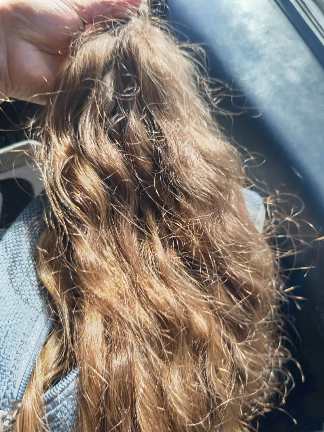 قژاسنیم طبیعی رنگ‌|آرایشی، بهداشتی، درمانی|دیواندره, |دیوار