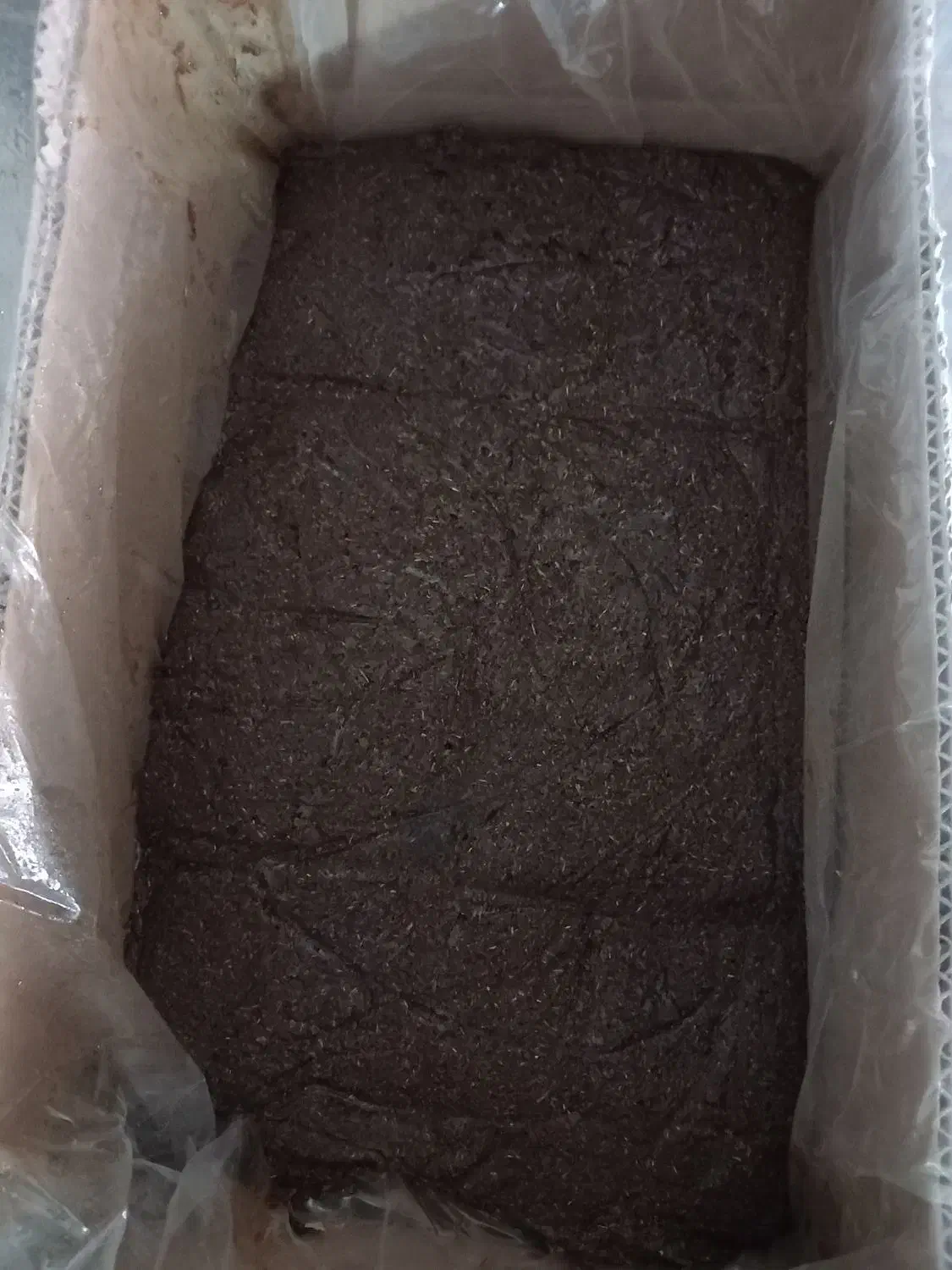 کشمش چرخشده افتابی|خوردنی و آشامیدنی|تهران, والفجر (افسریه)|دیوار