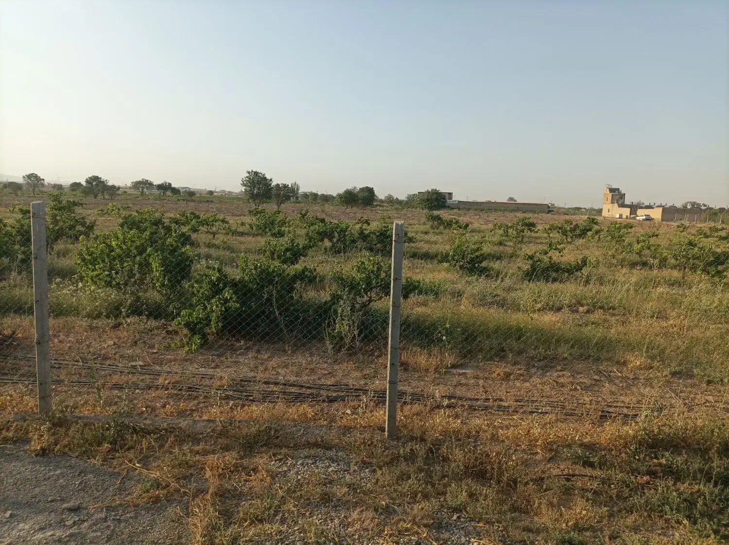 اجاره باغ انگور|اجارهٔ کوتاهمدت ویلا و باغ|تاکستان, |دیوار