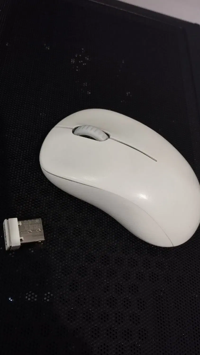 موس بی سیم Rapoo M160 silent|قطعات و لوازم جانبی رایانه|فردیس, فردیس|دیوار