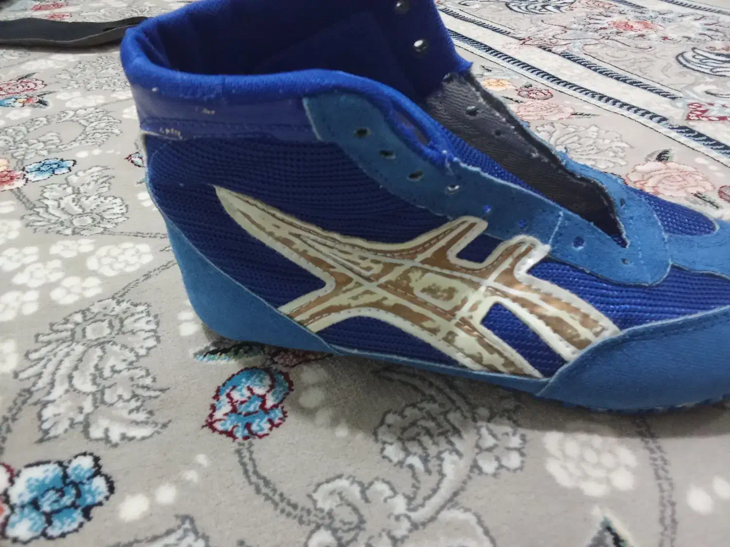 کفش کشتی|کیف، کفش، کمربند|سنقر, |دیوار