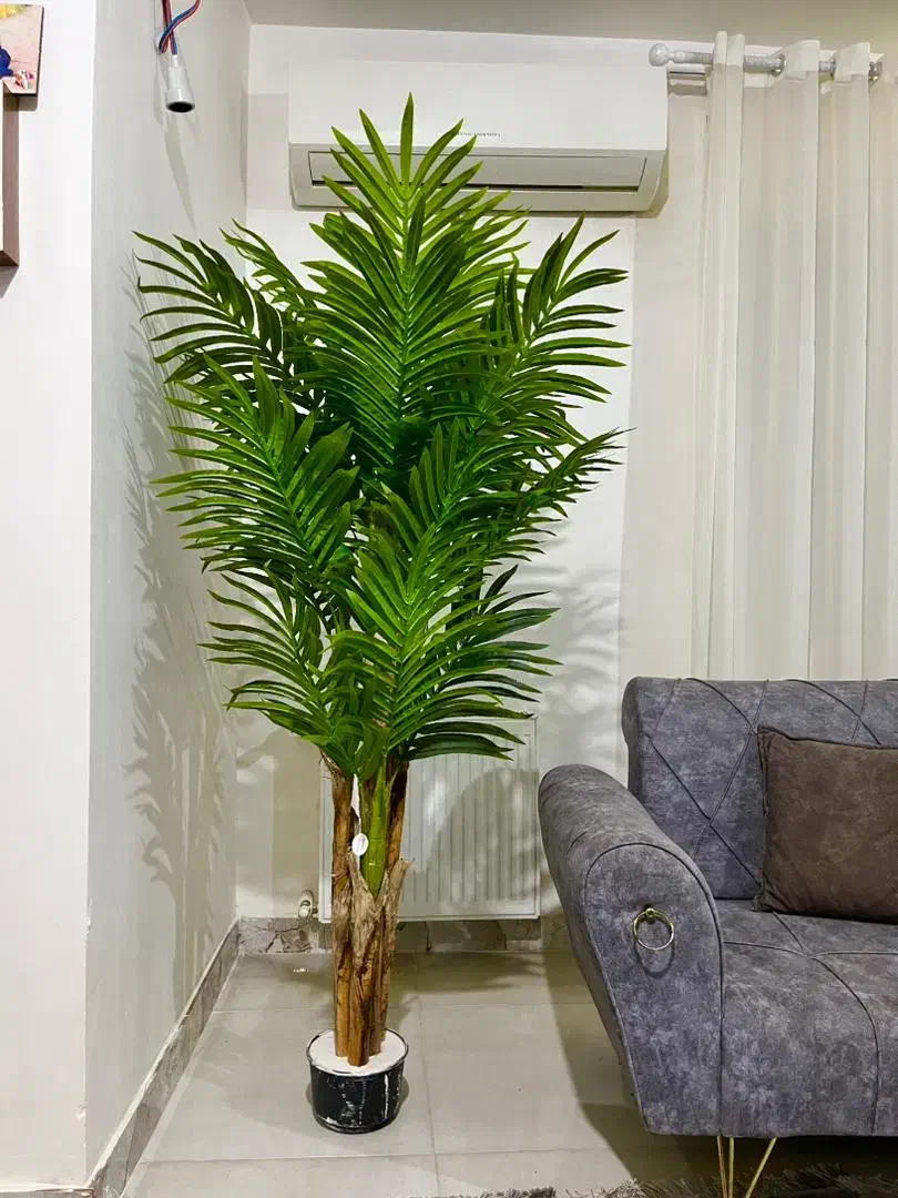 درختچه های مصنوعی وارداتی|گل مصنوعی|لاهیجان, رجایی|دیوار