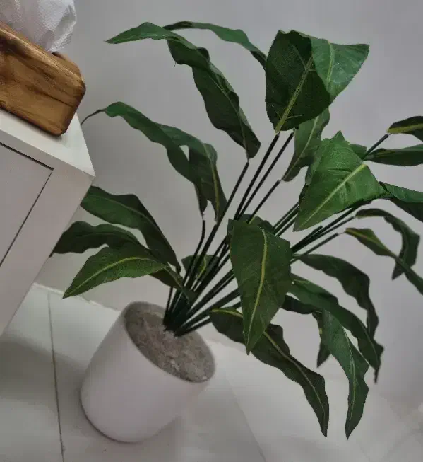 گل برگ عبایی مصنوعی|گل مصنوعی|مشهد, شیرودی|دیوار