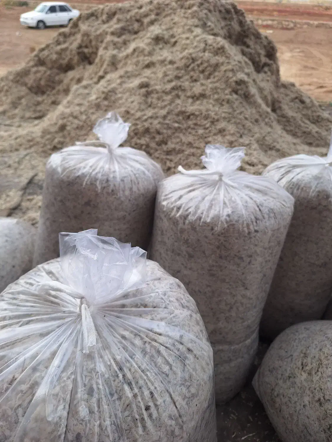 تفاله چغندر|لوازم جانبی حیوانات|فیروزآباد (آذربایجان), |دیوار