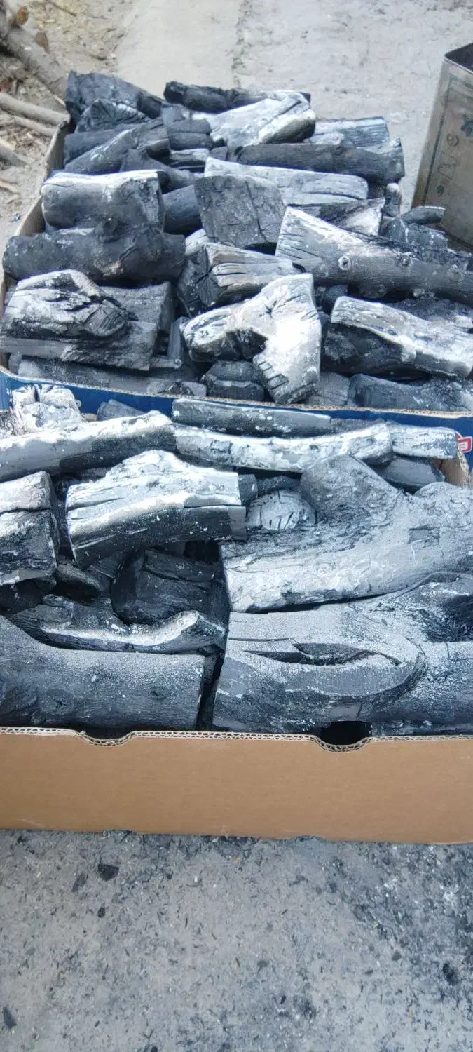 تولید زغال سیب لاخول زبون گنجشک بادام|عمده‌فروشی|کیار, |دیوار