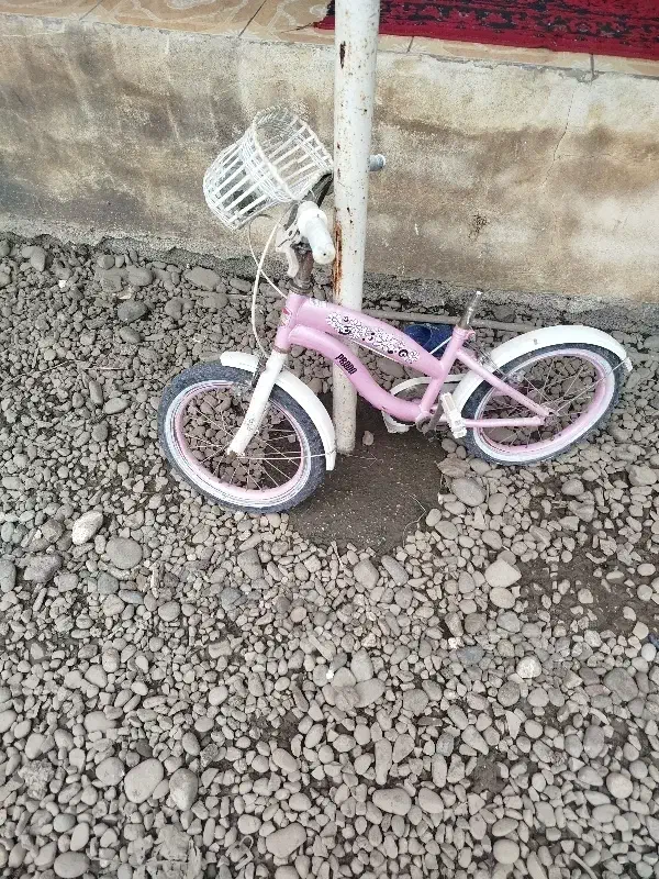 دوچرخه سایز 16|دوچرخه، اسکیت، اسکوتر|سنگر, |دیوار