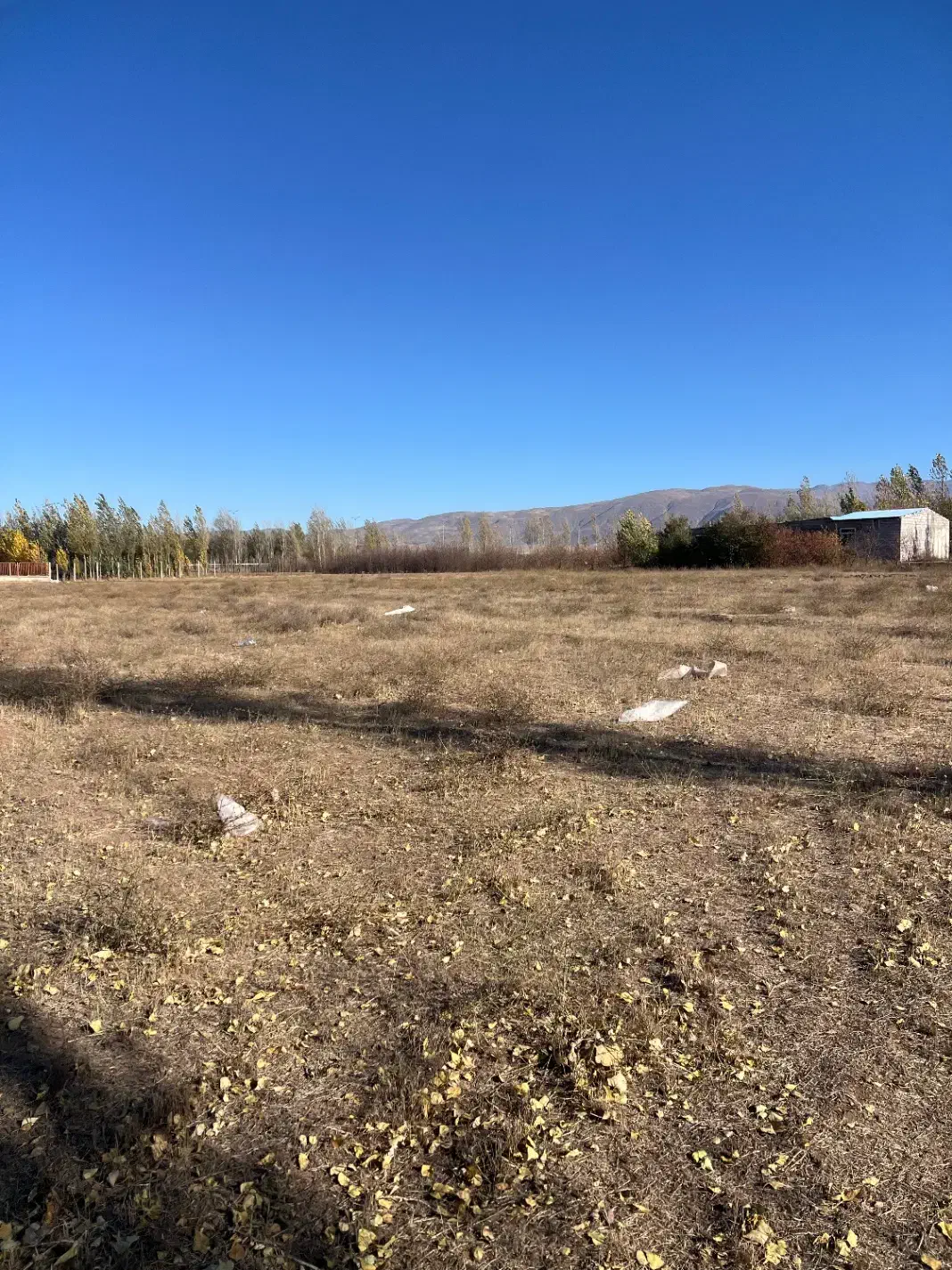 زمین زراعی چسبیده به محدوده شهر آراللو|فروش زمین و ملک کلنگی|هیر, |دیوار