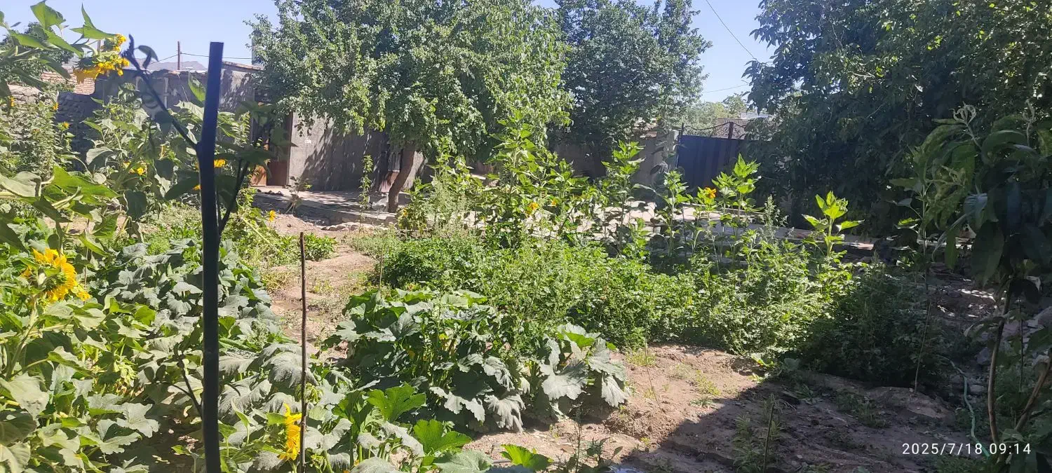 فروش خونه باغ بهترین منطقه خوش آب وهوا|فروش خانه و ویلا|لاله زار, |دیوار